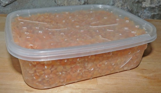 Tempeh avant incubation