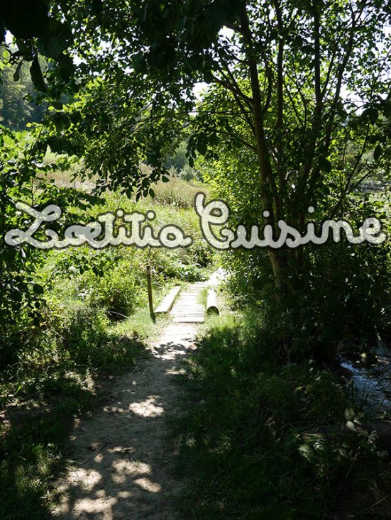 Le sentier pieds nus de Rebeuvelier