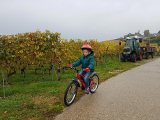 Apprentissage du vélo enfant {Parcours de 2 ans à presque 5&nbsp;ans}